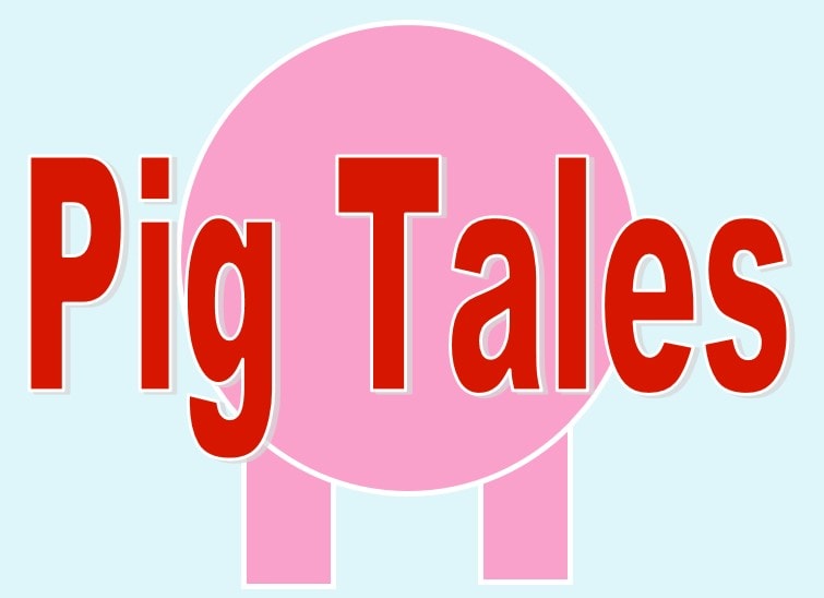 On a light blue background, the simple outline of a pink pig's body. Red lettering reading Pig Tales is superimposed over it.